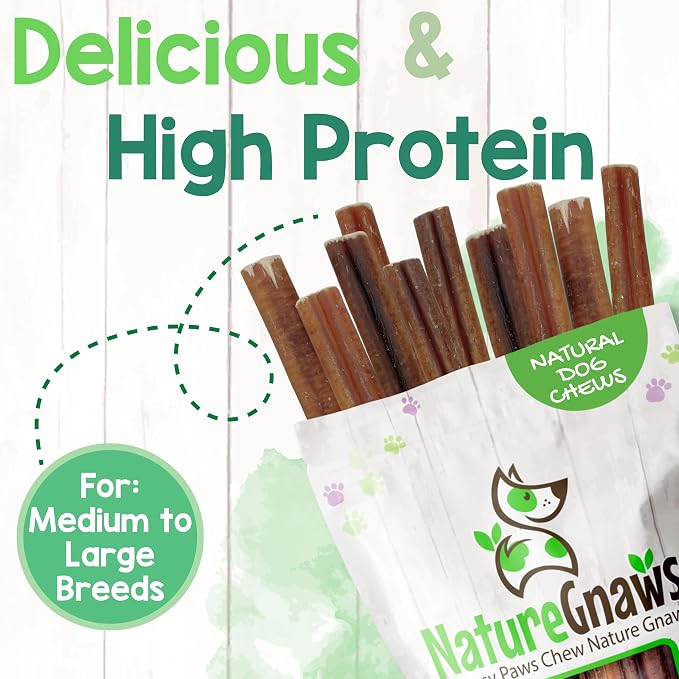 Nature Gnaws Extra Large Bully Sticks 11-12" Rawhide Free Dog Chew, 6 Count | Thick Long Lasting for Aggressive Chewers and Heavy Chewers - Natural Beef Dog Chew Bones - No Artificial Preservatives