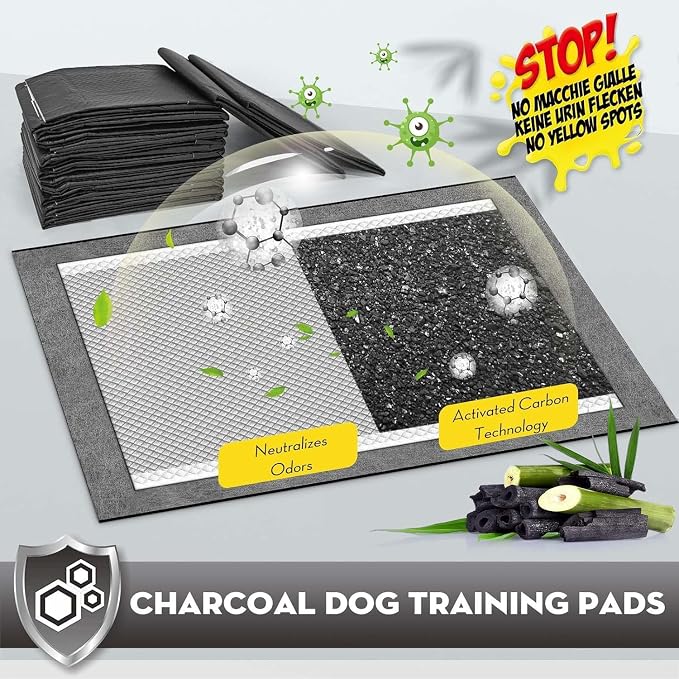 CROCI Charcoal Pee Pads for Dogs Odor Control Leak Proof 22x22in 50Ct | Super Absorbent Puppy Pads with Adhesive Tabs, Heavy Duty, Dog Potty Training, Quick-Dry Surface, Disposable