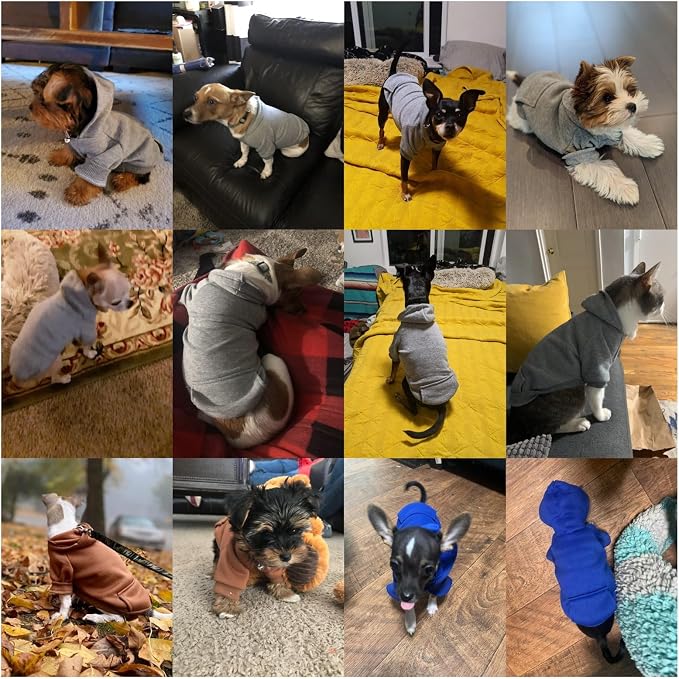 Soft Dog Hoodies for Small Dogs, Warm Fleece Puppy Clothes with Pocket | Jecikelon cold weather coat, cute puppy costume, breathable sweatshirt for dogs girl & boy, machine washable, easy on & off