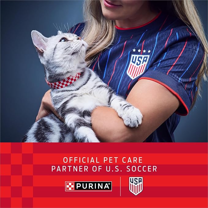 Purina ONE Sensitive Skin and Stomach Dry Cat Food 16 lb Bag