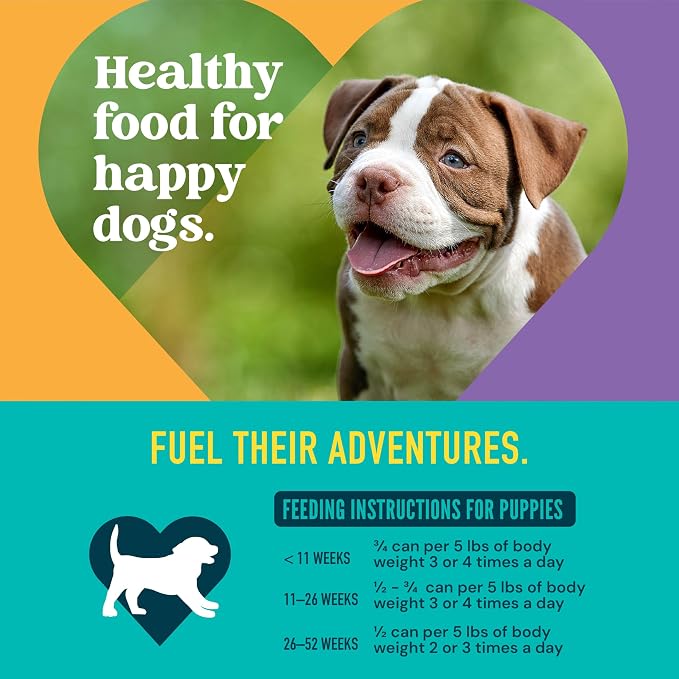 A Strong Heart Puppy Dog Food, Chicken & Beef, 13.2oz, 12-Pack | Complete & balanced puppy formula, AAFCO growth & reproduction, Made in USA
