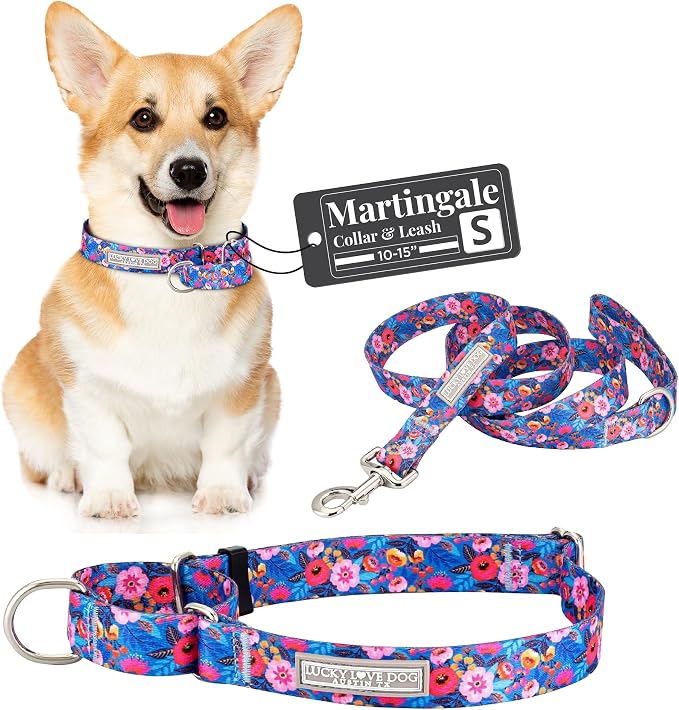 Lucky Love Dog Martingale Collar and Leash Set for Small Dogs – Zuzu, Small