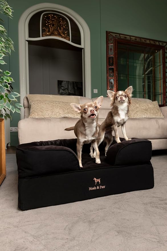 NOAH & PAW Dog Bed, 28x23x11 Inch, Orthopedic Dog Beds for Medium Size Pets, Eggshell Memory Foam Infused with Cooling Gel, Inner Cover, Water Resistant, Machine Washable (Denim Sofa Collection)
