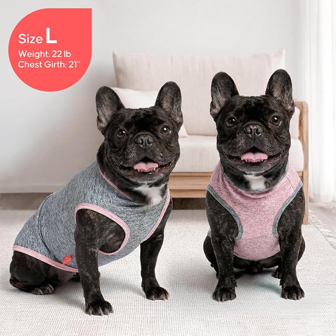 KYEESE 2Pack Dog Shirt for Small Dogs Sun Protection Tank Top for Summer | Reflective for Safety, Lightweight & Breathable, Shedding Control, Skin-Friendly for Sensitive Dogs, Easy On/Off, Quick Dry