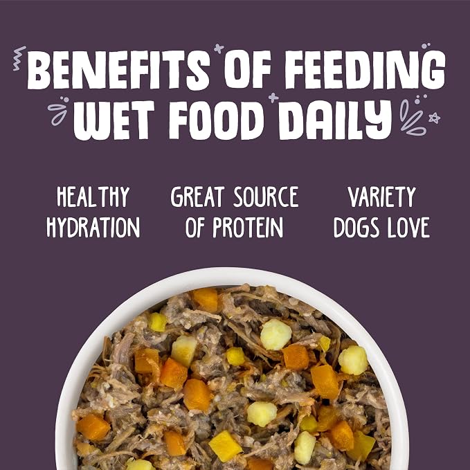 Weruva Classic Dog Food, Steak Frites with Beef, Pumpkin & Sweet Potato in Gravy, 14oz Can (Pack of 12)