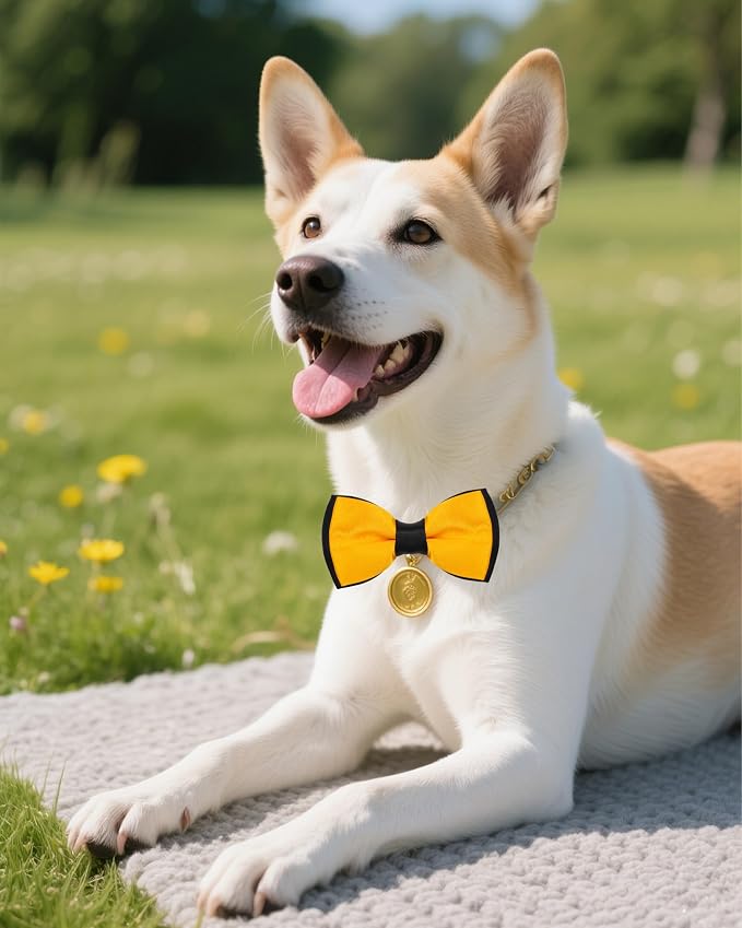 PET SHOW 5 Pack Mixed Color Dog Bowties for Small Dogs Slide on Collar