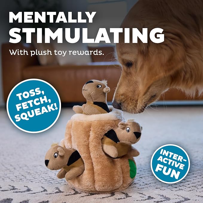 Outward Hound Hide-A-Squirrel Dog Toy – Interactive 2‑in‑1 Plush Puzzle with 3 Squeaky Removable Squirrels, Large (Pack of 12)