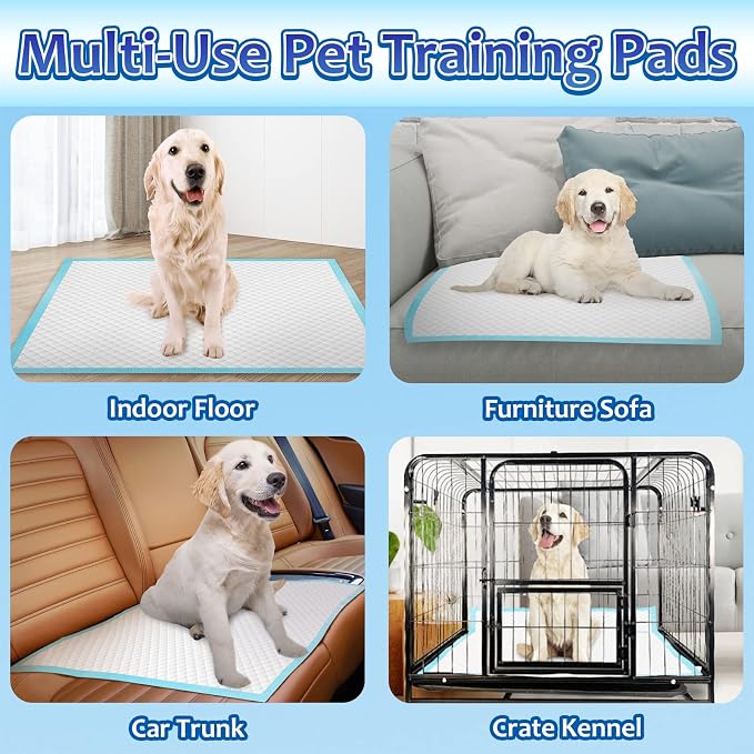 Dogcator Puppy Pads Extra Large 30"x36", 40 Count Thicken XLarge Puppy Pee Pads for Dogs Super Absorbent, Leak-Proof Disposable Pet Training Pad, Potty Piddle Mats for Puppies, Cats, Doggies, Blue