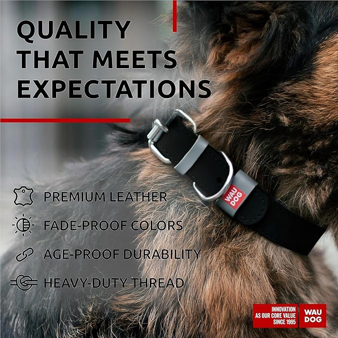 WAUDOG Long Lasting Leather Dog Collar for Large Dogs, Medium & Small Dogs - Adjustable Classic Puppy Collars for Large Breed Dogs - Boy & Girl Dog Collars with Durable Buckle, D-Ring & QR Dog Tag