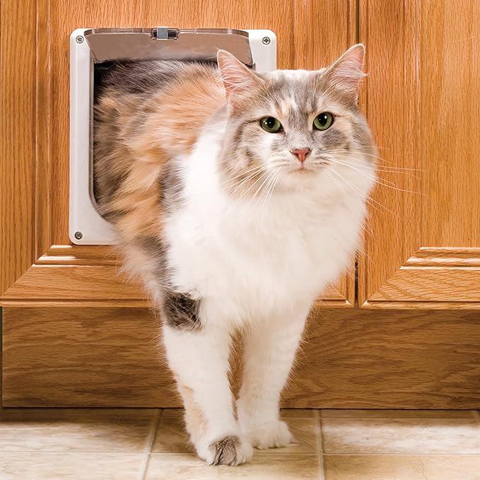 PetSafe Interior Cat Door, 2-Way Lock, White, Cats up to 15 lb | High-Impact Frame with Transparent Flap, Fits Interior Doors, Hardware and Template Included