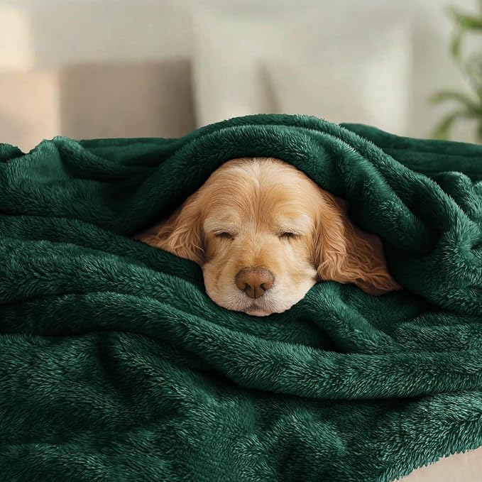 Exclusivo Mezcla Fuzzy Plush Fleece Bed Blanket King Size, Forest Green | 104x90 Inches, Super Soft and Cozy Bed Blanket, Fluffy Decorative Bedding for Livingroom, Bedroom, All Season