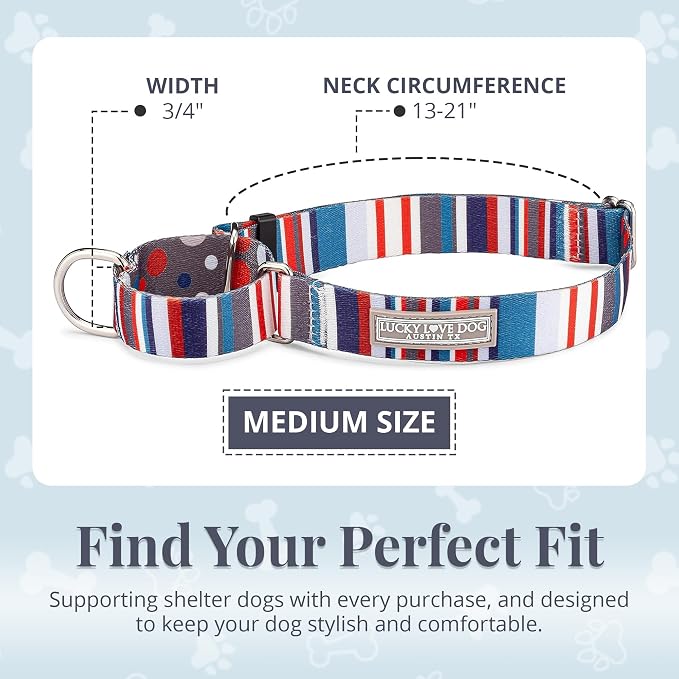 Lucky Love Dog Martingale Collar for Medium Dogs No Slip – Linus, Medium