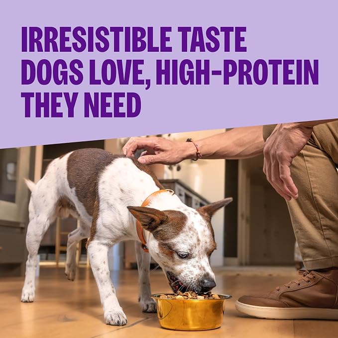 Wellness CORE+ Small Breed Adult Dry Dog Food with Freeze Dried Pieces, Grain Free Kibble+, Natural, High Protein, Turkey and Chicken Recipe, 10 lb Bag