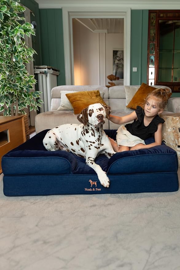 NOAH & PAW XL Dog Bed, 45x35x11 Inch, Orthopedic Large Dog Beds, Eggshell Memory Foam Infused with Cooling Gel, Inner Cover, Water Resistant, Machine Washable (Denim Sofa Collection)