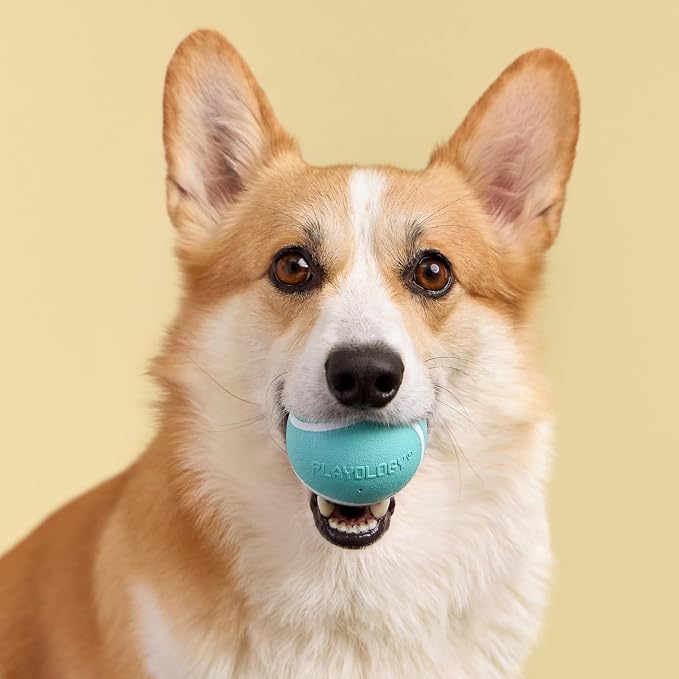 Playology Squeaky Chew Ball Dog Toy - Medium, Peanut Butter Scent