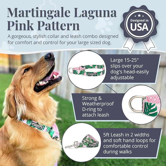Lucky Love Dog Martingale Collar & Leash Set No Slip Cute – Laguna, Large