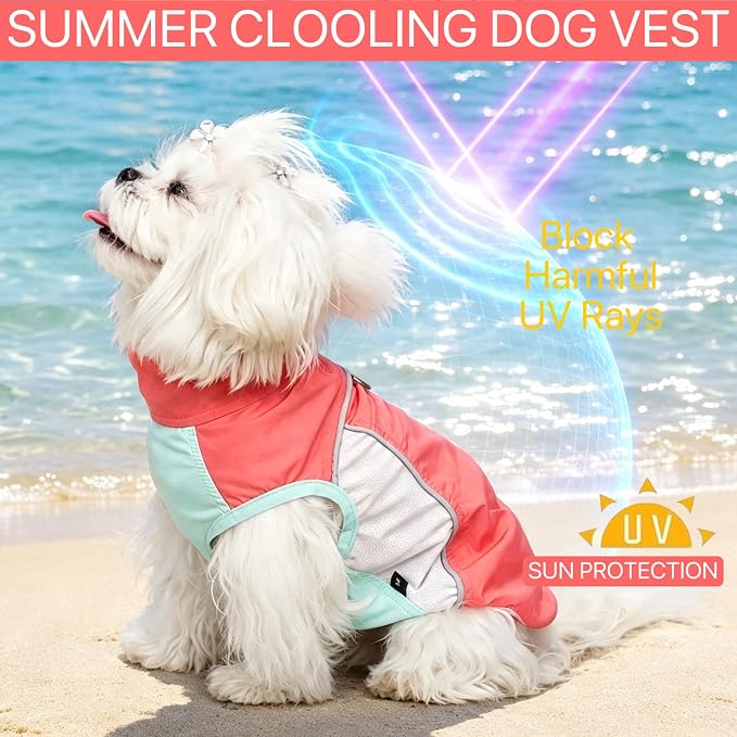 Dog Sun Protection Cooling Shirt,UPF 50+ UV Protection,Lightweight Breathable Cooling Vest, Sunblock Summer Clothes for Dogs (Tomato Red, Large, Pull On)