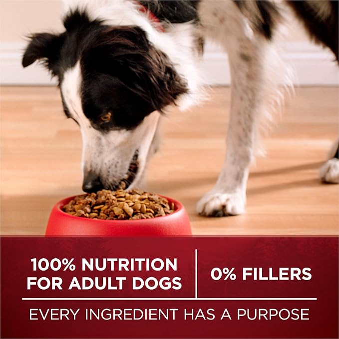 Purina ONE True Instinct Dry Dog Food, Real Salmon & Tuna, 36 lb Bag | Nutrient dense, with 30% protein to help support strong muscles, natural with added vitamins, minerals and nutrients