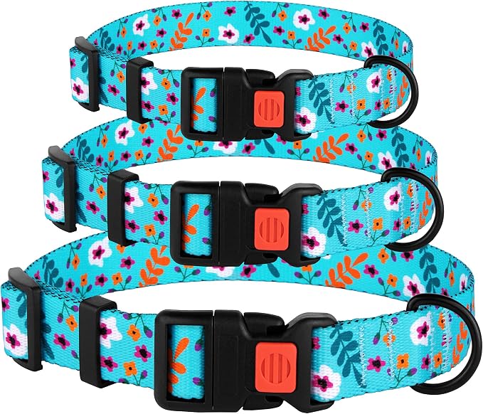 Nylon Dog Collar Floral Pattern Aquamarine 12-16 inch
