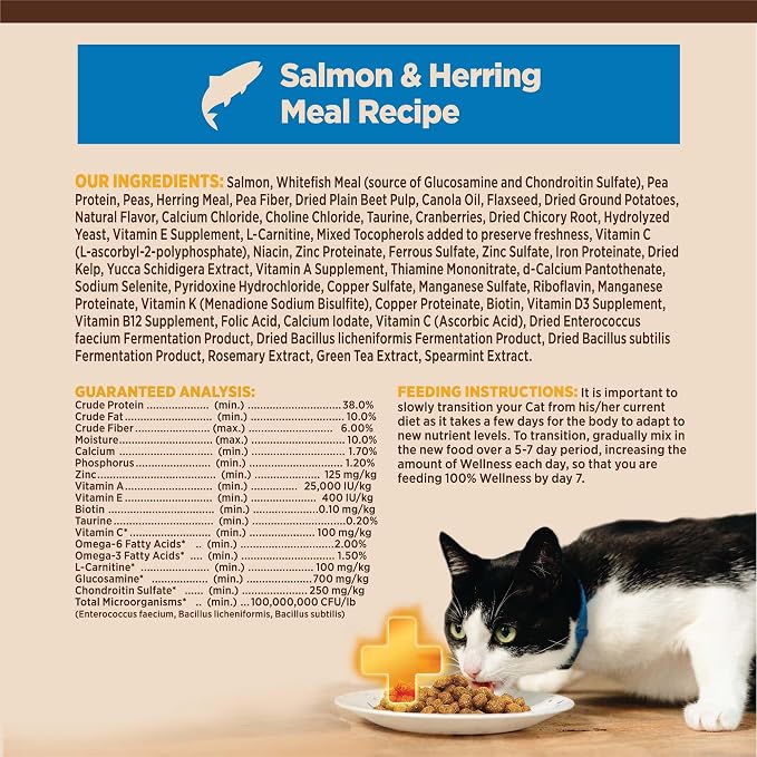 Wellness CORE+ Adult Dry Cat Food for Infoor Cats, Natural, Grain Free Kibble, Salmon and Herring Meal Recipe, 5 lb Bag