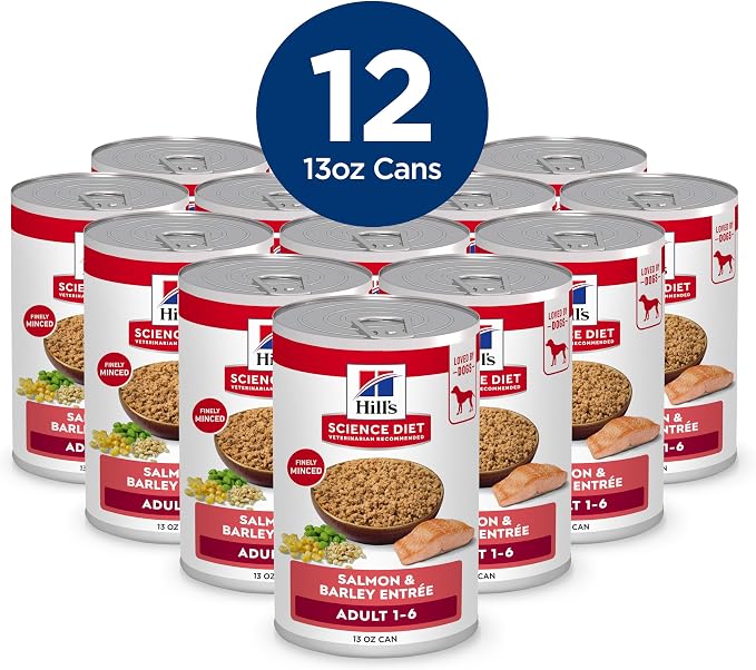Hill's Science Diet Adult 1-6 Wet Dog Food | #1 Veterinarian Recommended, Salmon & Barley, 13 oz. Cans, 12-Pack
