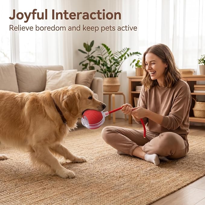 Interactive Pet Toy Ball, 2026 Automatic Dog Toy Interactive Dog Cat Toy Ball Dog & Cat Electric Active Toys, Smart Chase Pet Toy Ball for Dogs for Large Small Dogs Motion Activated (Gray)