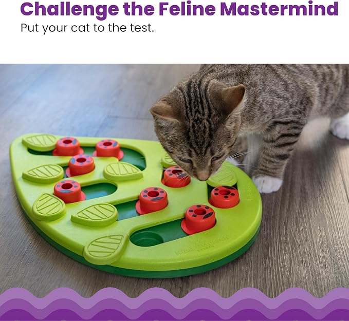 Catstages Nina Ottosson Buggin’ Out Puzzle & Play Cat Toy Treat Puzzle, 14" | Level 2 Intermediate, 16 Hidden Treat Cups, Problem Solving, Interactive Enrichment, Slow Feeder, Indoor Cats & Kittens