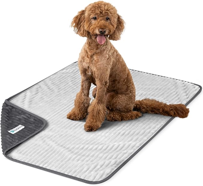 PetAmi Waterproof Dog Blanket, Leakproof Pet Blanket for Small Medium Large Cats, Soft Plush Reversible Sofa Couch Cover Protector, Washable Puppy Throw for Bed Crate, 60x80 in, Grey Light Gray