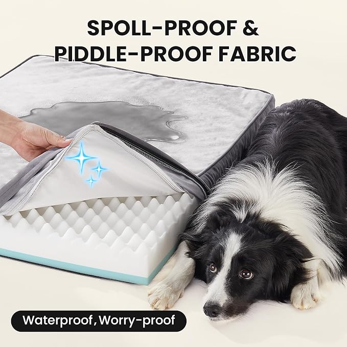 OhGeni Orthopedic Waterproof Med Large Dog Bed, Memory Foam, 36 inch(Gray) | Machine-Washable Removable Cover in Easy-Clean Fabric, Reversible Memory Foam & Easy-Carry Handle, Wider and Larger