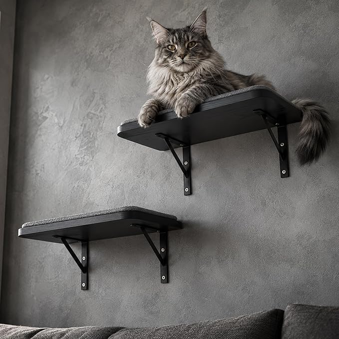 Cat Wall Shelves Set of 2, Black Solid Wood Cat Window Perch with Grey Sisal Cushion, Wall-Mounted Space-Saving Climbing Bed, Lounging Shelf for Kittens & Cats, Black Furniture for Indoor