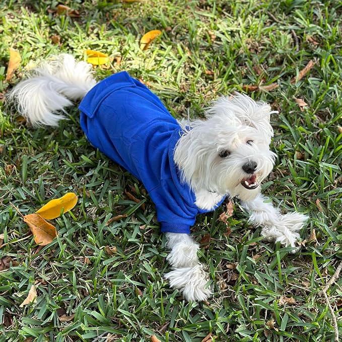 Soft Dog Hoodies for Small Dogs, Warm Fleece Puppy Clothes with Pocket | Jecikelon cold weather coat, cute puppy costume, breathable sweatshirt for dogs girl & boy, machine washable, easy on & off