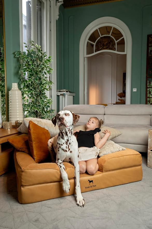NOAH & PAW Large Dog Bed, 35x25x11 Inch, Orthopedic Dog Beds, Eggshell Memory Foam Infused with Cooling Gel, Inner Cover, Water Resistant, Machine Washable (Velvet Sofa Collection)