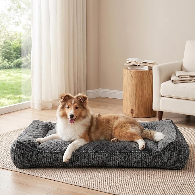 JOEJOY Orthopedic Dog Bed for Medium Dogs, Extra Thick Foam Dog Couch Bed | Bolster Sides | Washable Removable Cover | Non-Slip Bottom | Grey, 35''x25''