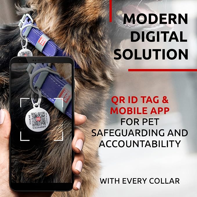 WAUDOG Long Lasting Leather Dog Collar for Large Dogs, Medium & Small Dogs - Adjustable Classic Puppy Collars for Large Breed Dogs - Boy & Girl Dog Collars with Durable Buckle, D-Ring & QR Dog Tag