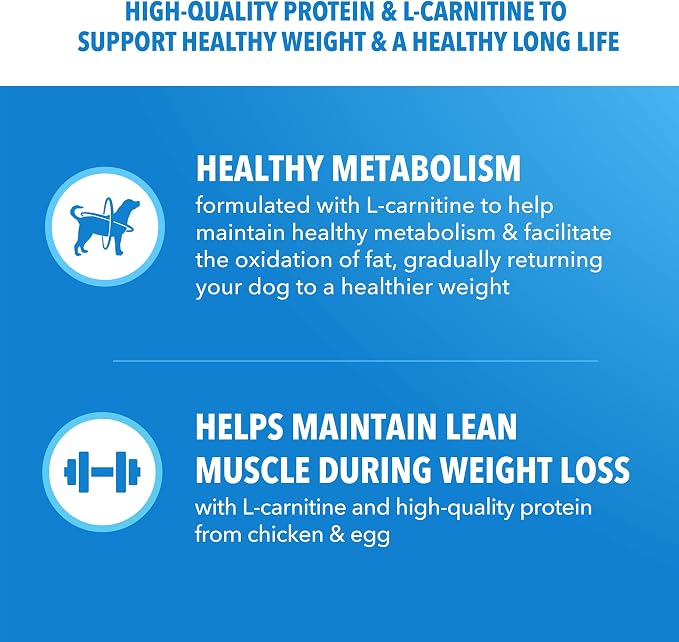 IAMS Proactive Health Healthy Weight Dry Dog Food, Chicken, 15 lb | Real chicken #1 ingredient, L-Carnitine for metabolism, strong muscles, no fillers or artificial flavors, vet-recommended
