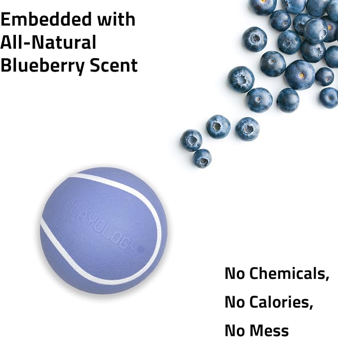 Playology Squeaky Chew Ball Dog Toy - Small, Blueberry Scent, 3-Pack
