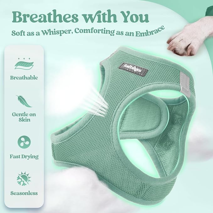 rabbitgoo Dog Harness Small Sized and Leash Set, Step-in Puppy Pet Vest | Light, Soft, Breathable Air Mesh, Easy on and Remove with Hook & Loop, Secure Reflective for Walking, Moss Green S