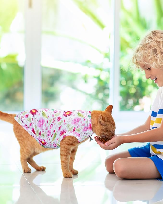 PET SHOW 4 Pack Paw Bone Printed Dog Clothes Shirts Soft Vest Lightweight Sleeveless Cats Doggies T-Shirts Puppies Tank Top Tee for Small Medium Dogs White Black Pink Blue (Medium, Pink for Girls)