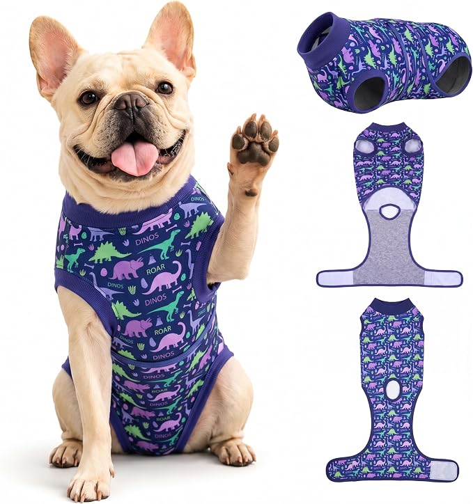 PetWarm Surgery Recovery Suit Spay, Onesies for Dogs, Dog Cone Alternative After Surgery Substitute E-Collar and Cone Prevent Dog Onesies Pet Recovery Suit, Dinosaur Pattern, Blue Purple, XS