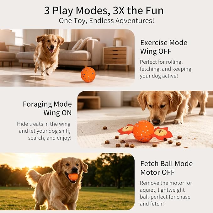 Interactive Dog Toys with Replacement Shell, Orange