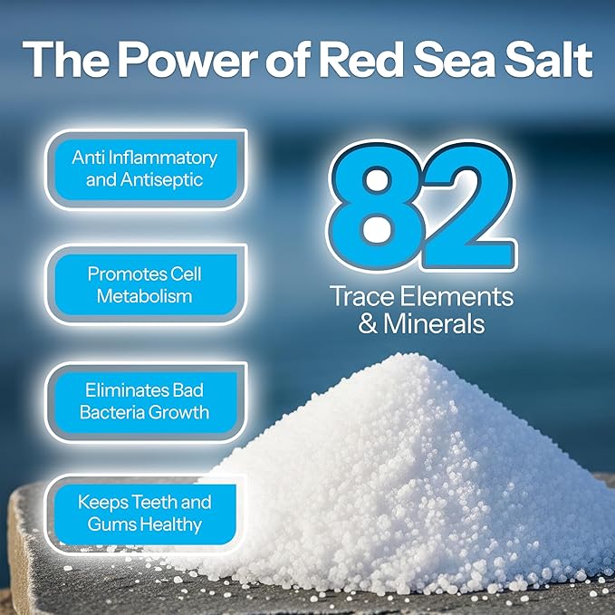 H2Ocean Healing Rinse Mouthwash - Great Tasting Sea Salt & Xylitol Mouth Wash for Fresh Breath & Dry Mouth & Tonsil Stones - Alcohol & Fluoride Free - Arctic Ocean Mint, 8oz (Pack of 2)