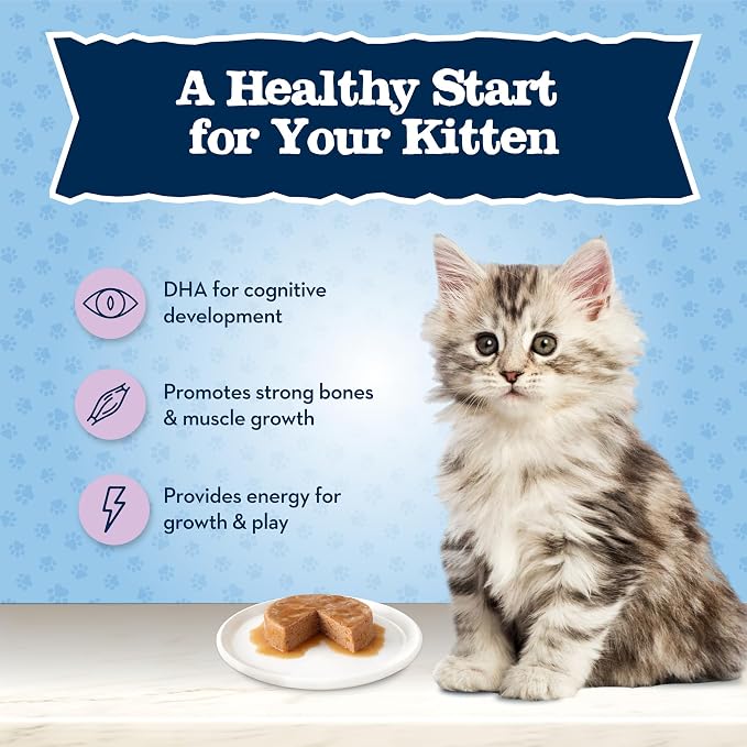 Blue Buffalo Baby Blue Chicken Kitten Natural Dry Cat Food, 5 lb | Real Chicken #1 Ingredient Plus Brown Rice, with DHA for Cognitive Development, Antioxidant-Rich LifeSource Bits