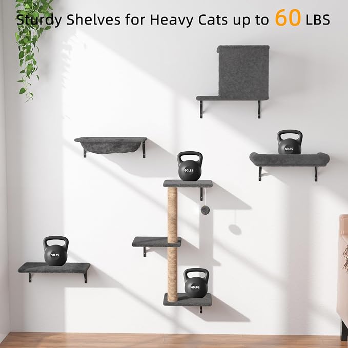 Cat Wall Shelves 5-Piece Set,Cat Walls Furniture for Indoor Large Cats Includes Bed, Cave, Scratching Post, Hammock, Space Saving Floating Shelves (Dark Gray)