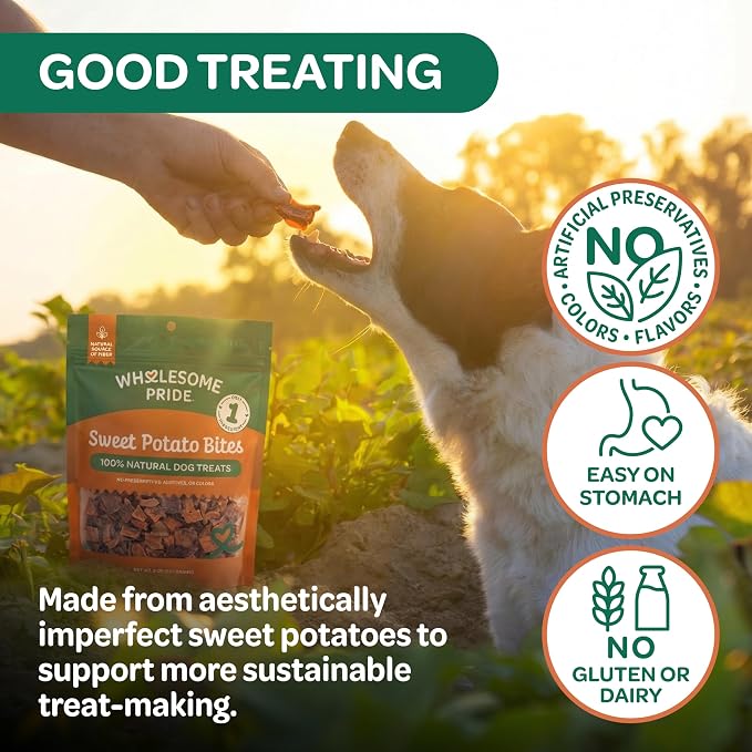 Wholesome Pride Sweet Potato Bites Healthy Dog Treats, 1 Ingredient, 8 oz | No Preservatives, 100% Sweet Potato, Gently Dehydrated, Supports Digestion, No Grain or Gluten, Training & Snacking