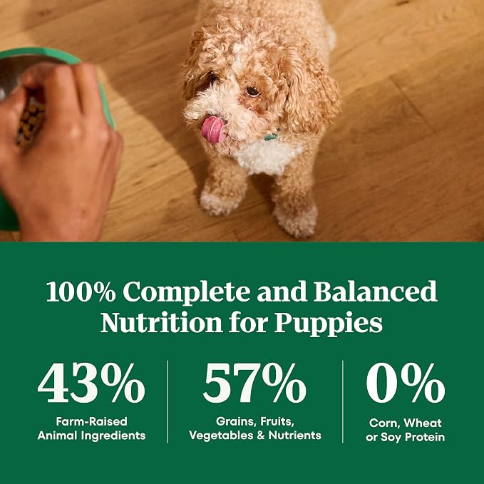 Nutro Natural Choice Small Bites Dry Dog Food, Salmon & Rice, 28 lb | Non-GMO, Real salmon #1 ingredient, Omega-3 & Omega-6 for skin & coat, no corn, wheat, soy, supports digestion & immunity