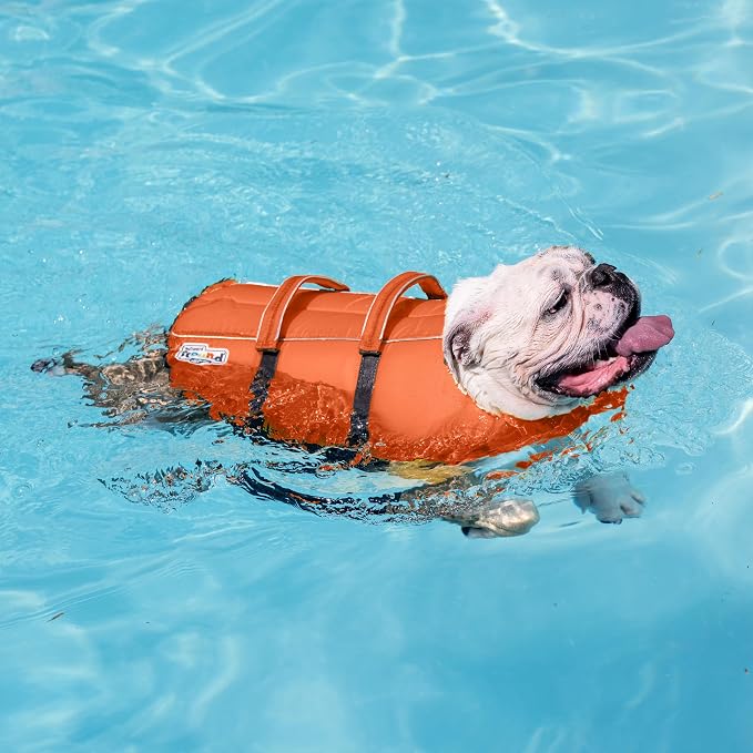 Outward Hound Granby Splash Dog Life Jacket, Life Vest, Orange, XL | Max Buoyancy, Adjustable Fit, Head/Neck Support, Rescue Handle, Reflective, Swimming & Boating, XL Dogs (33–44" Girth)