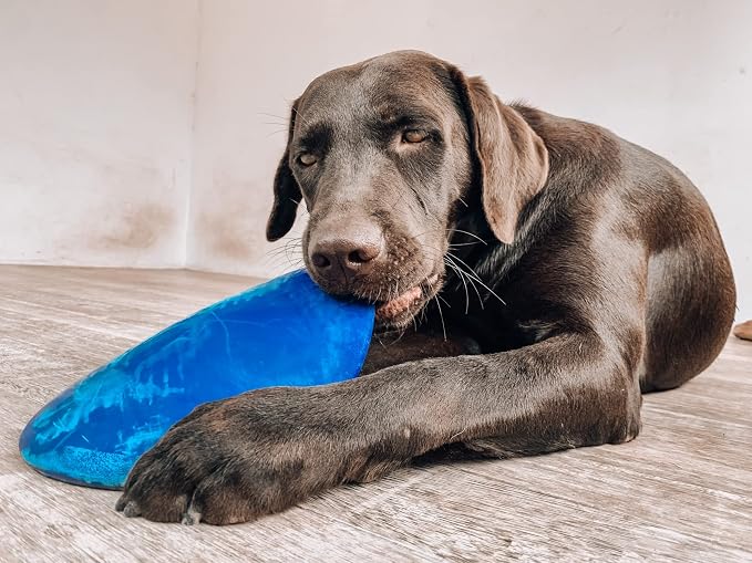 SuperChewer Tough Flying Disc Toy | Lifetime Replacement | Strong Natural Rubber | Great Dog Fetch Toys | Rubber Disc Toy for Dogs | Ultra Durable Chew Toys for Aggressive Chewers | for All Breeds