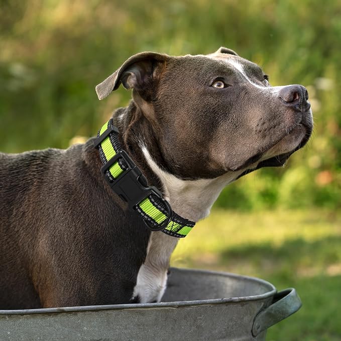 Mile High Life Reflective Dog Collar, Adjustable Lightweight Quick Release