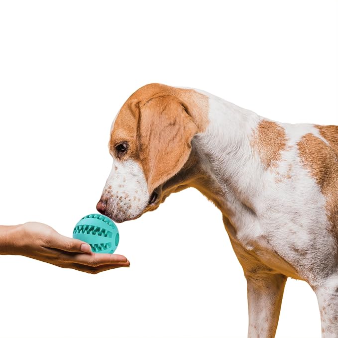SunGrow 2-Pack Dog Treat Balls, Puzzle Food Interactive Treat Dispensers, Hide Treats Inside, Puppy Treat Dispensers for Training, Small Dog Enrichment Balls for Boredom, Mental Stimulation for Puppy