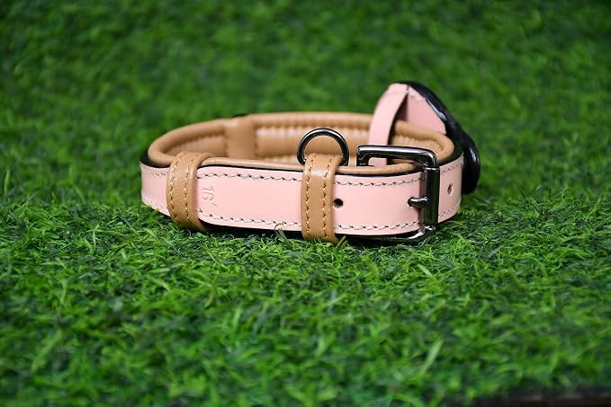 Airtag Luxury Real Leather Dog Collar Genuine Leather Dog Collar for Small Medium Large Dogs | Soft Padded Leather Collar With Anti -Rust Buckle Hardware (Size - S)Fits Neck 12, 13 & 14 inches